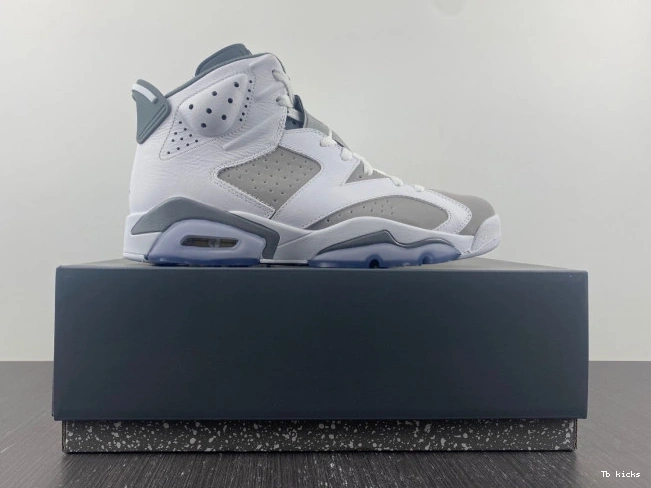 Reps TBK CT8529-100 Cool Jordan Grey Air 6 0709